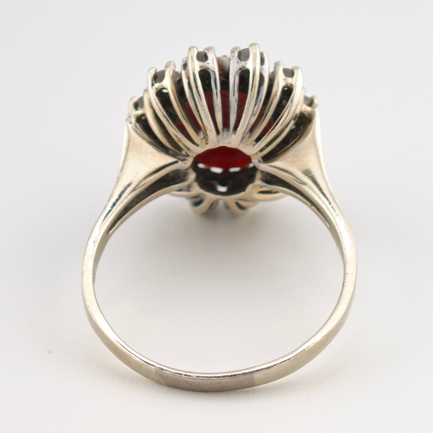 Ring von Hinten